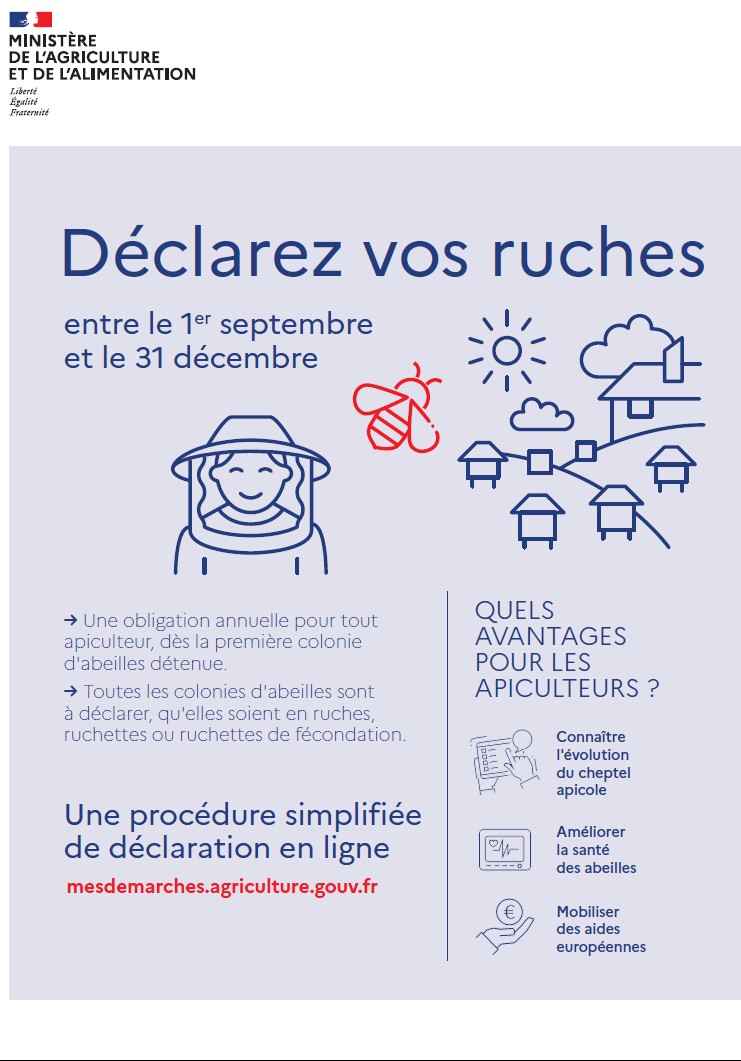 affiche declarez vos ruches